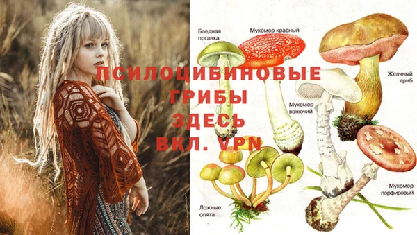 мескалин Богородицк