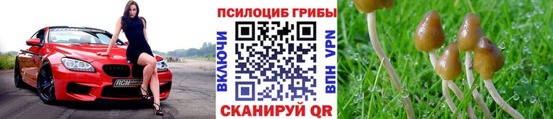 Псилоцибиновые грибы Magic Shrooms Нижний Новгород